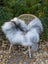 A plush 60 x 32 inch icelandic sheepskin throw in natural grey with long wool draped over a wicker chair