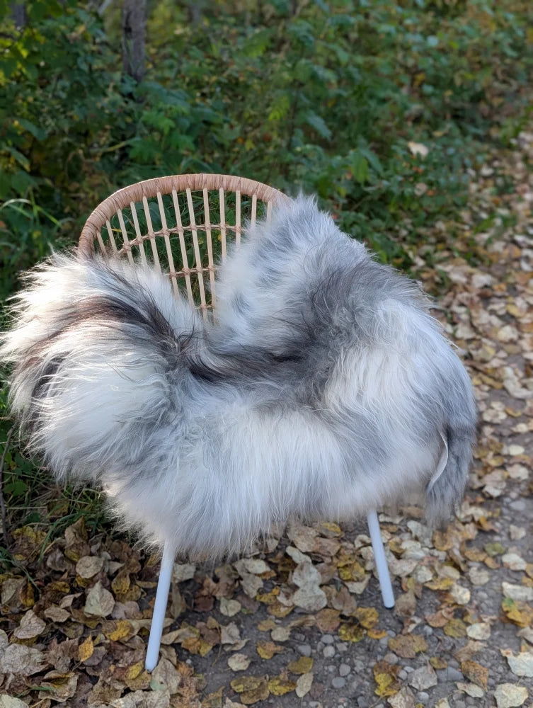 A plush natural grey icelandic sheepskin throw with long wool draped over a woven rattan chair with metal legs