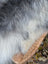 A fluffy gray and white dog sits in a wicker basket on a 60 x 32 inch natural grey wool icelandic sheepskin rug