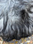 A massive icelandic sheepskin with thick long wool in natural grey tones perfect for cozy decor or wear