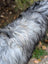 Massive icelandic sheepskin with long wool in natural grey featuring a shaggy coat of gray white fur with black tips