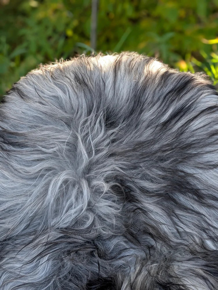 A plush gray and black icelandic sheepskin rug with long wool and soft textured surface measuring 61 by 36 inches