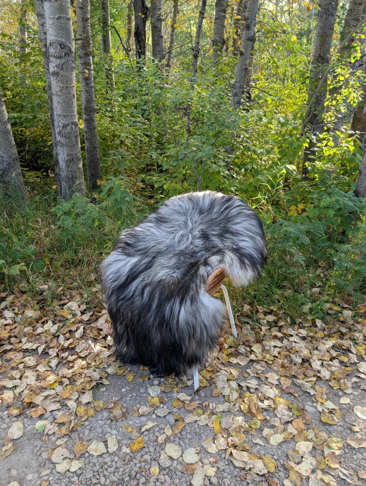 A plush gray and black long wool icelandic sheepskin coat with fluffy texture on fallen leaves ground