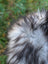 A fluffy long-haired black and white dog resting on a 58 x 32 icelandic sheepskin in natural grey long wool