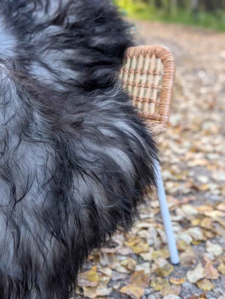 A wicker chair with light brown woven backrest and white metal legs paired with natural grey icelandic sheepskin long wool