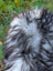 Massive icelandic sheepskin rug with long wool in natural grey black and white blend perfect for cozy spaces