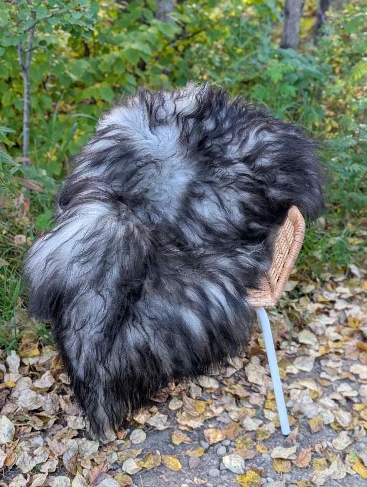 A plush shaggy black and gray long wool icelandic sheepskin rug draped over a wicker chair in natural grey
