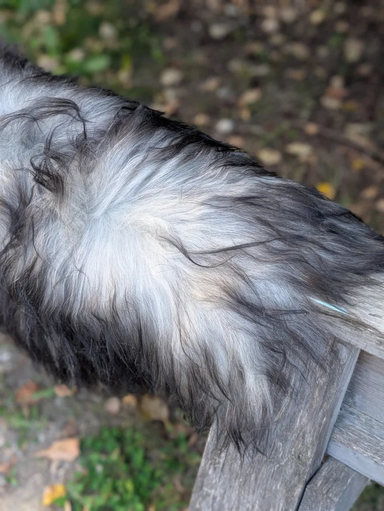 Back side of win#5 58 x 32 inch massive icelandic sheepskin with long wool black and white natural fur