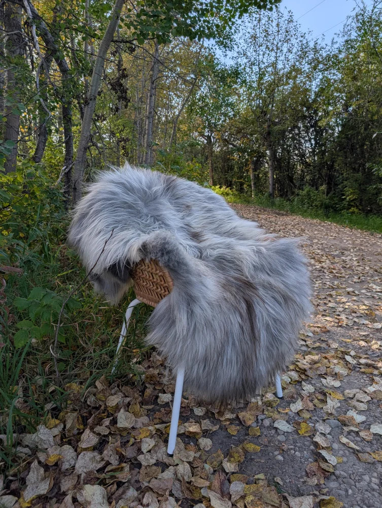 A fluffy gray faux fur chair with white legs and woven wicker seat featuring long wool icelandic sheepskin accents
