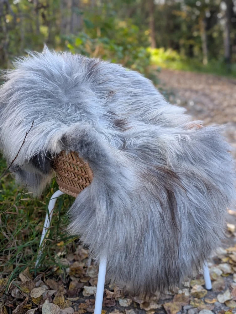 A plush long wool icelandic sheepskin rug in natural grey draped over a woven wicker chair with white metal legs