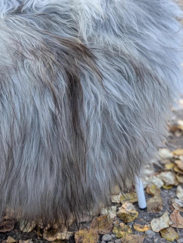 A plush long wool icelandic faux fur blanket in natural grey with soft voluminous texture measuring 59 by 35 inches