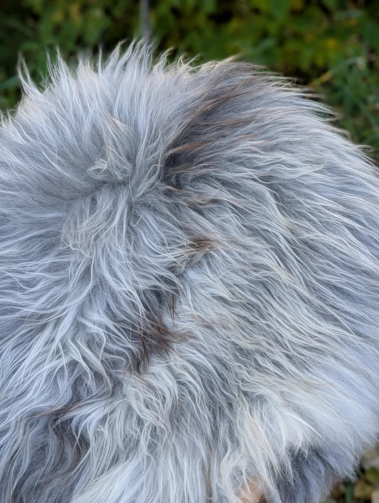 A plush gray wool icelandic sheepskin blanket with long natural wool and subtle shade variations measuring 59 by 35 inches