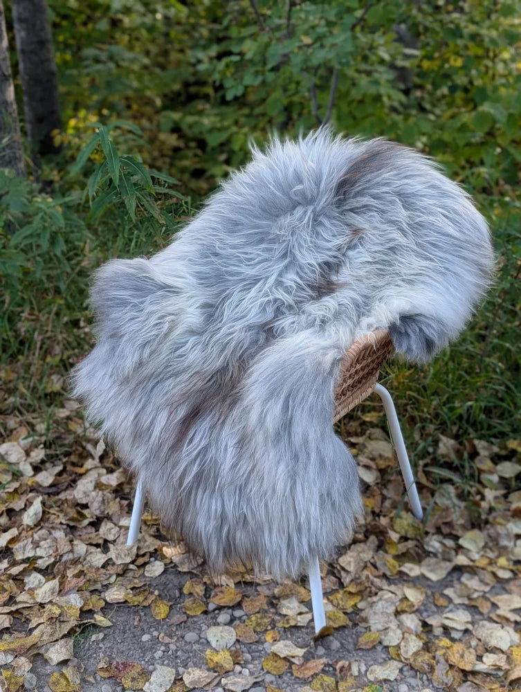 A massive icelandic sheepskin rug in natural grey draped over a wicker chair with white metal legs long wool icelandic style