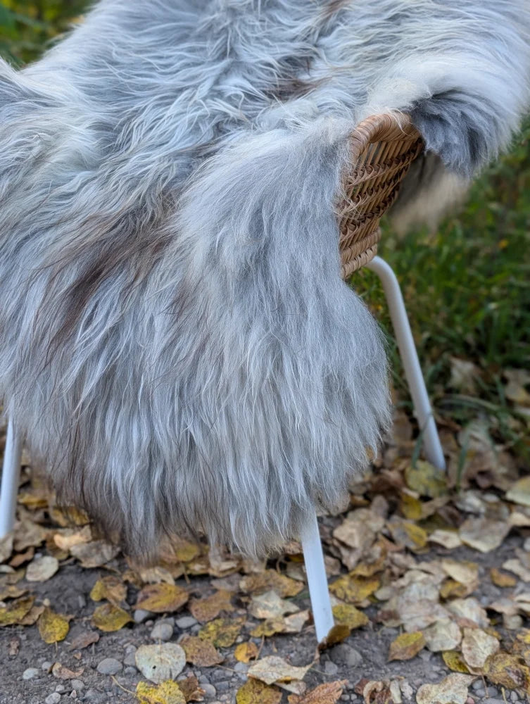 A soft gray icelandic sheepskin rug with long wool draped over a wicker chair with white metal legs