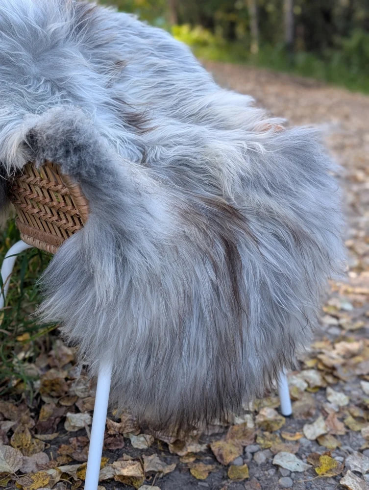 A plush light gray wool icelandic sheepskin throw draped over a woven wicker chair with white metal legs