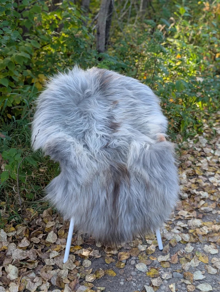 A plush light gray and white wool icelandic faux fur chair with slender white metal legs perfect for cozy seating