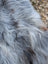 Fluffy long wool icelandic dog with silver gray fur on win6 59 x 35 massive natural grey sheepskin rug