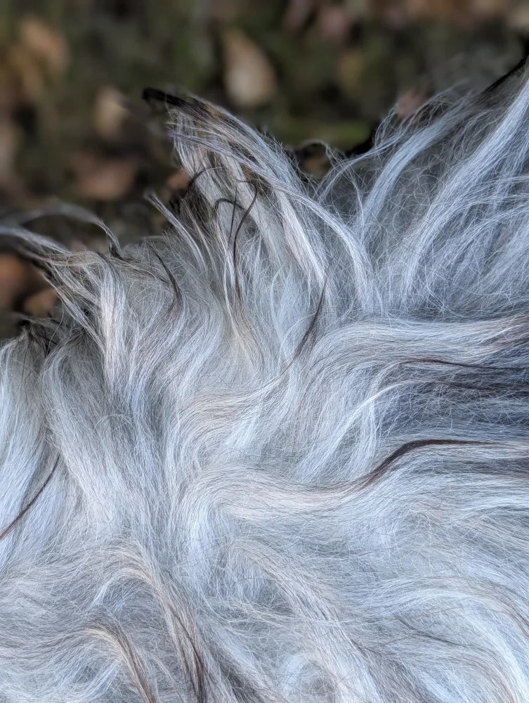 Fluffy silvery-gray icelandic sheepskin with subtle black tips perfect for cozy decor long wool icelandic natural grey