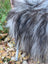 A fluffy long wool icelandic dog with gray and black fur on a 59 x 34 inch natural grey icelandic sheepskin rug