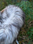 A fluffy long wool icelandic dog with white and black fur on a 59 x 34 inch natural grey icelandic sheepskin rug