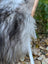 A plush long wool icelandic sheepskin in natural grey attached to a woven bamboo handle accessory