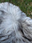 A plush massive icelandic sheepskin rug with long wool icelandic black and white fur texture in natural grey
