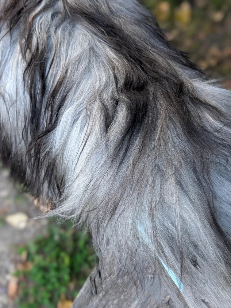 Long wool icelandic sheepskin coat in natural grey with dark gray and silver shaggy fur and black undertones