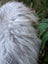 A fluffy long-haired dog with white and gray fur resting on a massive icelandic sheepskin rug natural grey