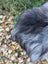 A fluffy long-haired dog with dark gray and lighter silver fur on a massive icelandic sheepskin rug natural grey