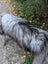 A long-haired dog stands on a gravel path next to a massive icelandic sheepskin rug in natural grey color