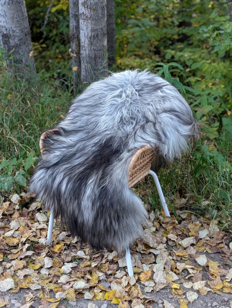 A massive icelandic sheepskin wool throw in natural grey draped over a wicker chair with white metal legs