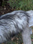 A fluffy dog rests on a weathered fence beside a massive icelandic sheepskin natural grey rug