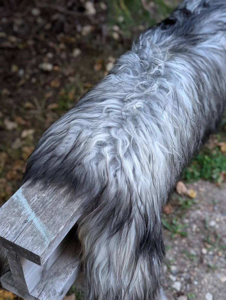 A long gray and black shaggy dog tail resting on weathered wood beside a massive icelandic sheepskin rug
