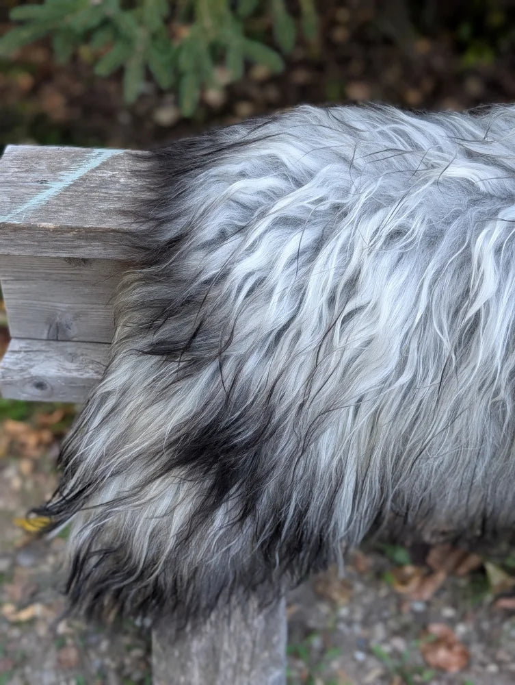 A fluffy dog rests its tail on a weathered post beside a massive icelandic sheepskin rug in natural grey wool