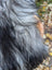 A fluffy long-haired goat with a curved horn featured on a massive icelandic sheepskin natural grey rug