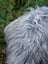 A fluffy dog sitting on a massive icelandic sheepskin rug with thick natural grey wool icelandic sheepskins texture