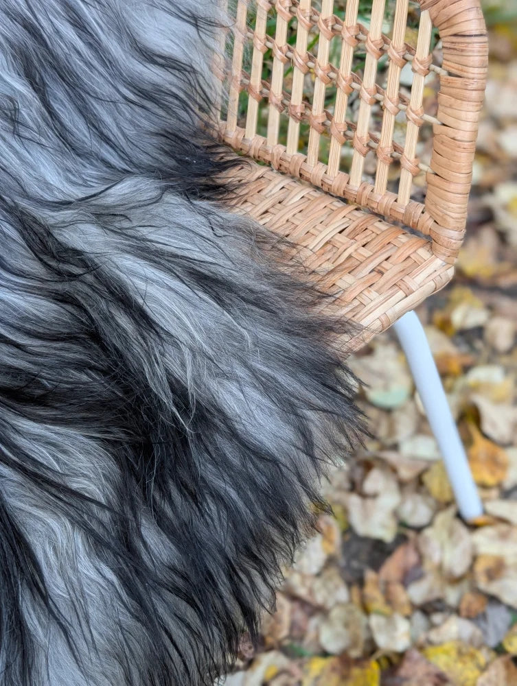 A massive icelandic sheepskin gray and black wool throw draped over a woven wicker chair for cozy decor