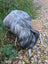 A massive icelandic sheepskin wool throw in natural grey draped over a wicker chair with white metal legs