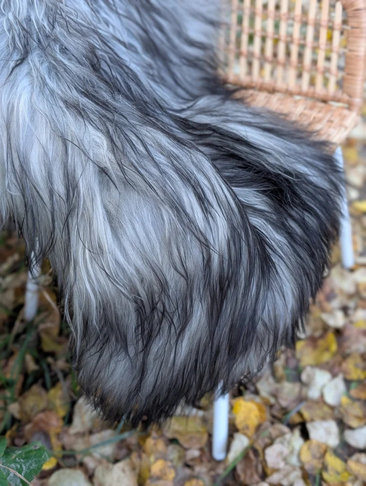 A massive icelandic sheepskin wool throw in natural grey draped over a wicker chair for cozy decor