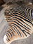 A gorgeous zebra printed large cowhide rug by angus oliver featuring plush faux fur with unique black and tan stripes