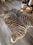 A gorgeous zebra printed large cowhide rug by angus oliver with bold black and tan stripes and unique characteristics on gray wood floor
