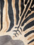 A large angus oliver plush faux leather rug with bold black and beige zebra stripes showing unique characteristics