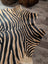 Gorgeous zebra printed large cowhide rug by angus oliver with black and tan faux fur and a natural irregular edge