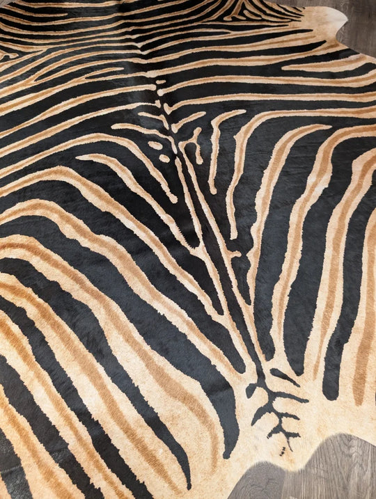 A plush large cowhide rug by angus oliver with bold black and tan zebra print unique characteristics
