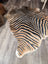 Gorgeous zebra printed large cowhide rug by angus oliver with bold black and tan stripes and unique characteristics