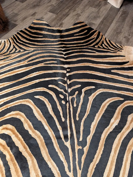 Gorgeous zebra printed large cowhide rug with black and tan zebra print and unique angus oliver characteristics