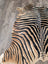 Gorgeous zebra printed large cowhide rug by angus oliver with black and tan zebra stripes and unique irregular edges