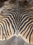 Gorgeous zebra printed cowhide rug by angus oliver with bold black and tan stripes and unique large cowhide characteristics