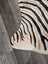 A large cowhide zebra print rug in cream with bold black and tan stripes showing unique characteristics by angus oliver
